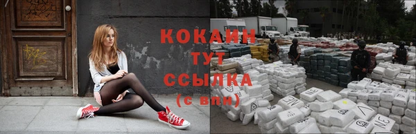 spice Каменногорск