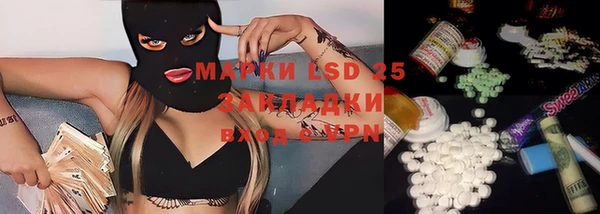 spice Каменногорск