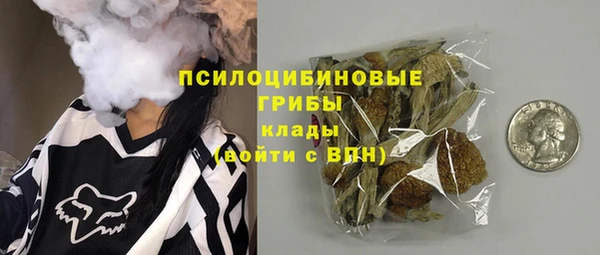 дмт Каменск-Шахтинский