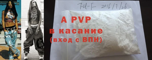 spice Каменногорск