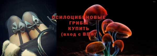 spice Каменногорск
