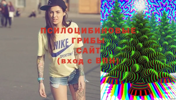 spice Каменногорск