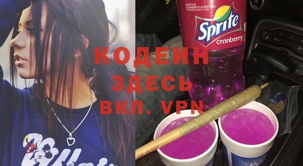 СК Каменка