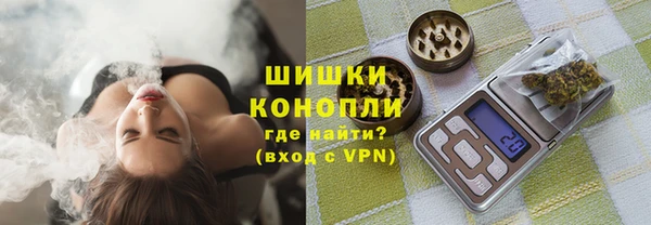 spice Каменногорск