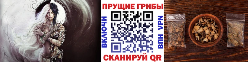 Галлюциногенные грибы мицелий Лянтор