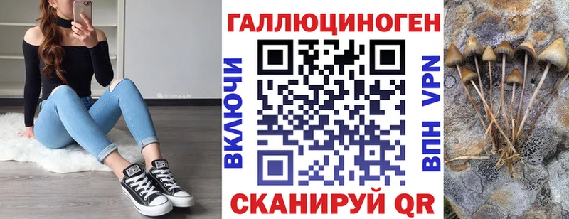 Купить где  Лянтор  Псилоцибиновые грибы Psilocybe 