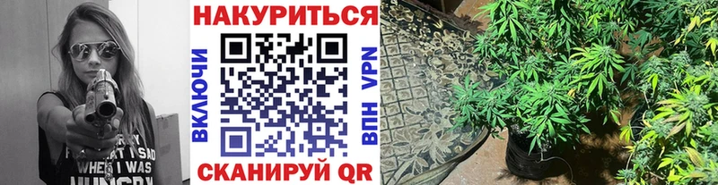 Купить где  Лянтор  Канабис AK-47 
